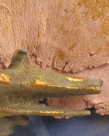 Compassie en verbintenis