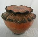 papaver pot