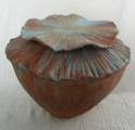 Papaver pot